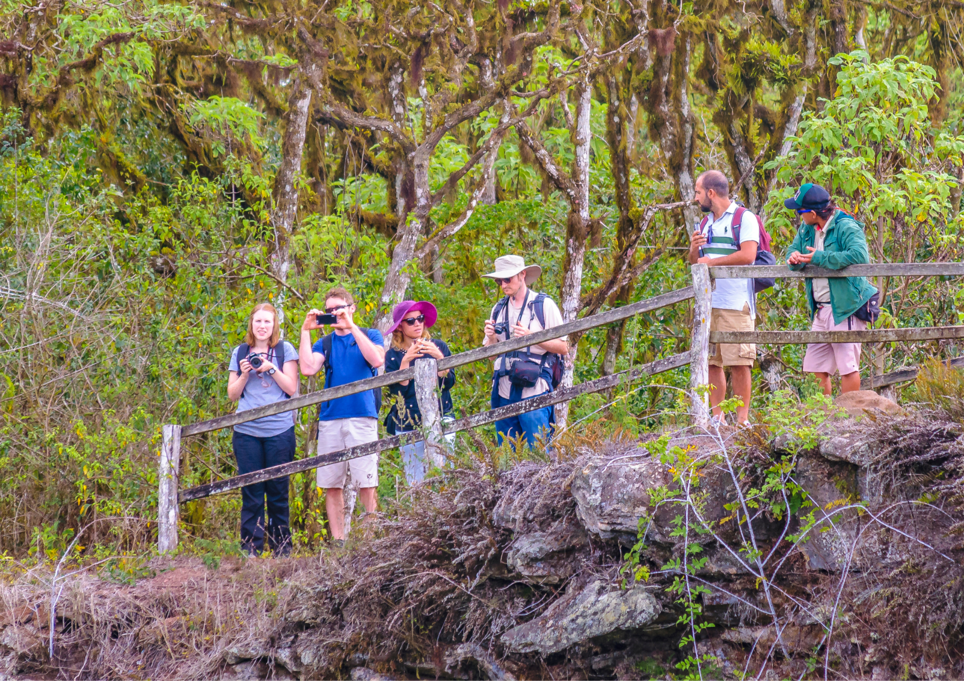 Ecoturistic Tour