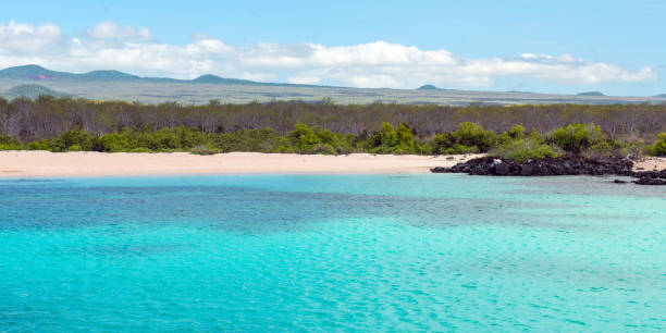 Santa fe & Beach